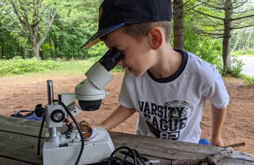 Garçon portant une casquette noire et un t-shirt blanc observant attentivement dans un microscope à une table en bois en forêt