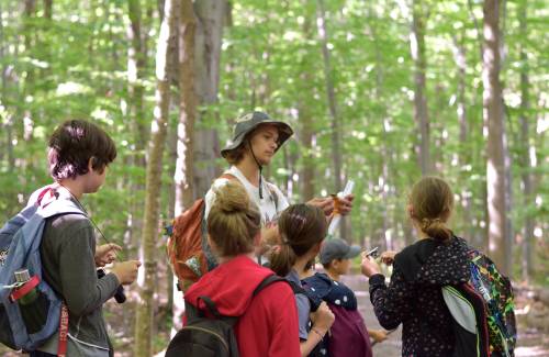 Éducatrice nature portant un chapeau beige expliquant quelque chose à un groupe d'enfants attentifs dans une forêt de feuillus