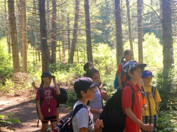 Enfants dans un sentier en fôret