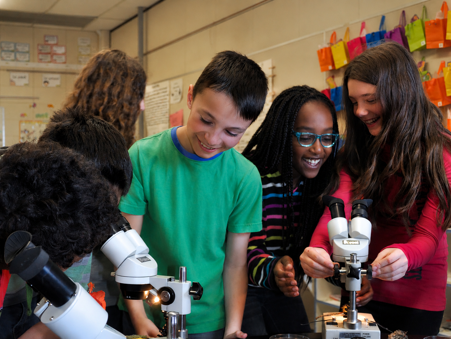 Des élèves observent des spécimens au microscope lors d’un atelier scientifique en classe.